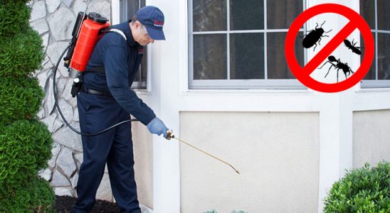 Pasinler Kene İlaçlama böcek ilaçlama ve haşere kontrolü — ilaclama-tr.com
